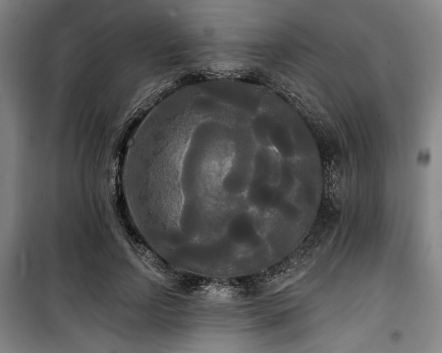 X0000100330742200806051534