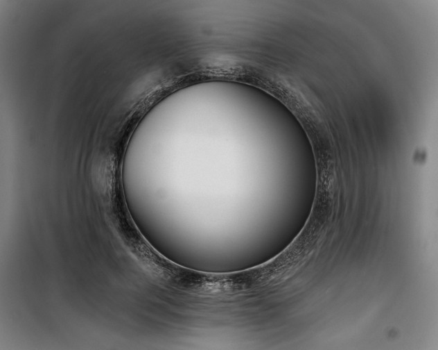 X0000100330744200806051534