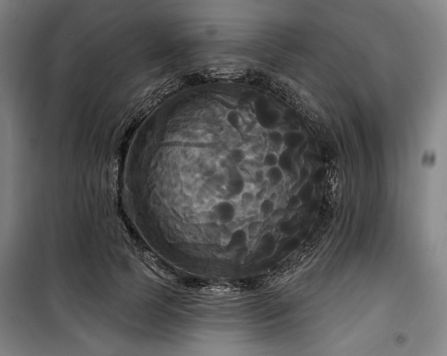 X0000100330745200806051534