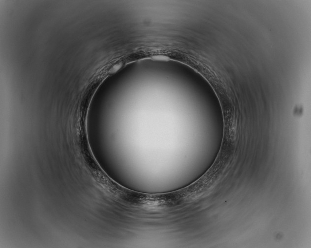 X0000100330746200806051534