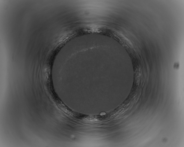 X0000100330747200806051534