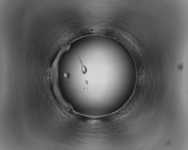 X0000100330748200806051534