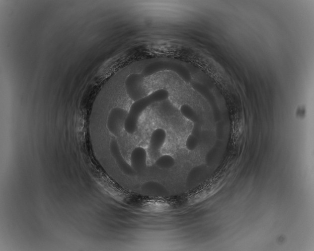 X0000100330749200806051534