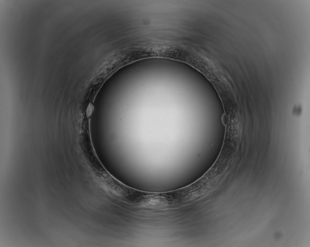 X0000100330750200806051534