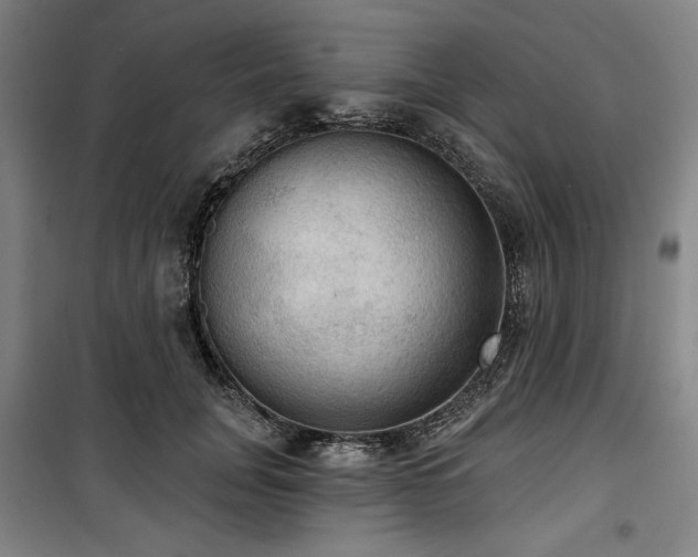 X0000100330751200806051534