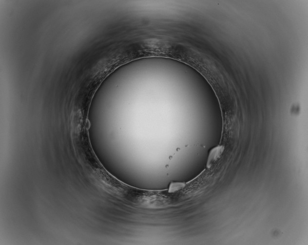 X0000100330752200806051534