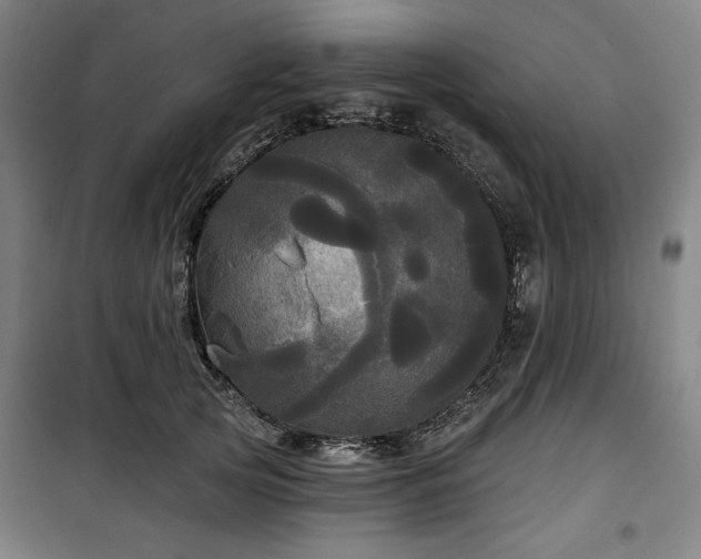 X0000100330753200806051534