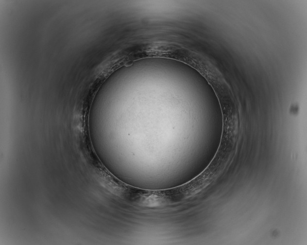 X0000100330755200806051534