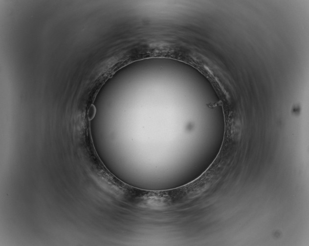 X0000100330756200806051534