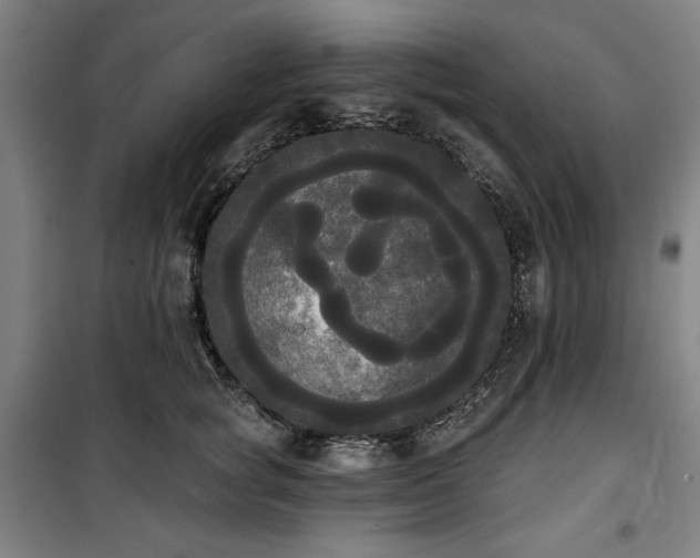 X0000100330757200806051534