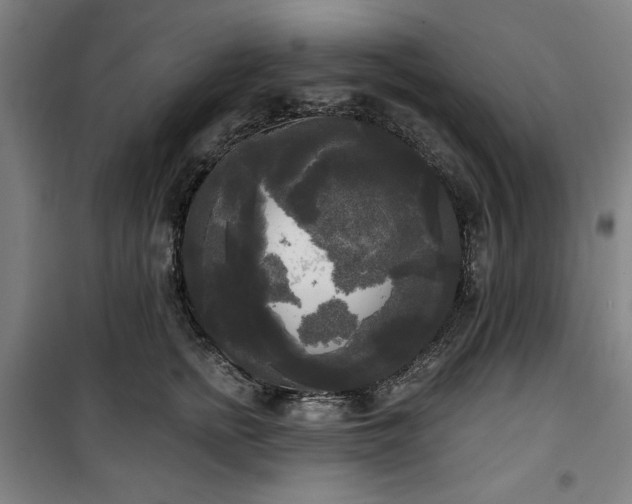 X0000100330758200806051534