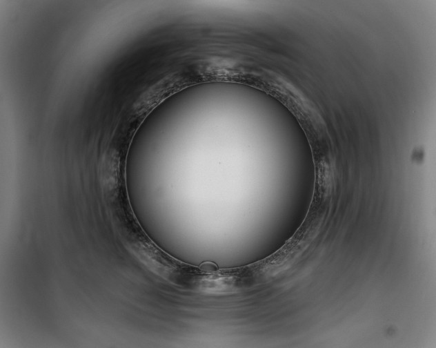 X0000100330760200806051534