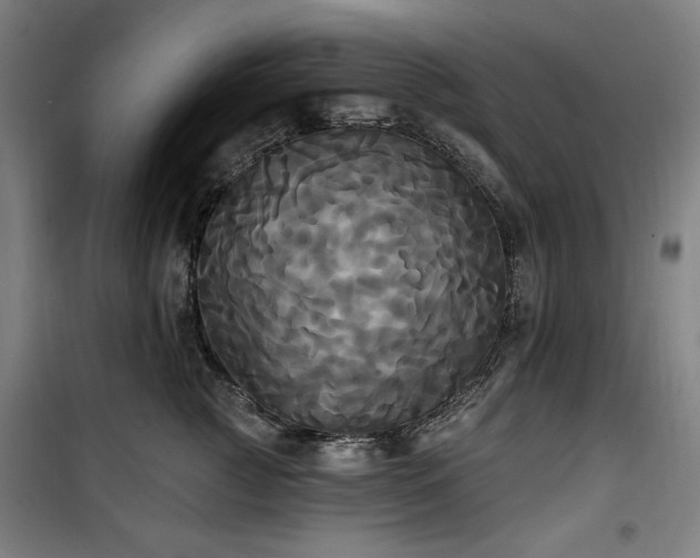 X0000100330761200806051534