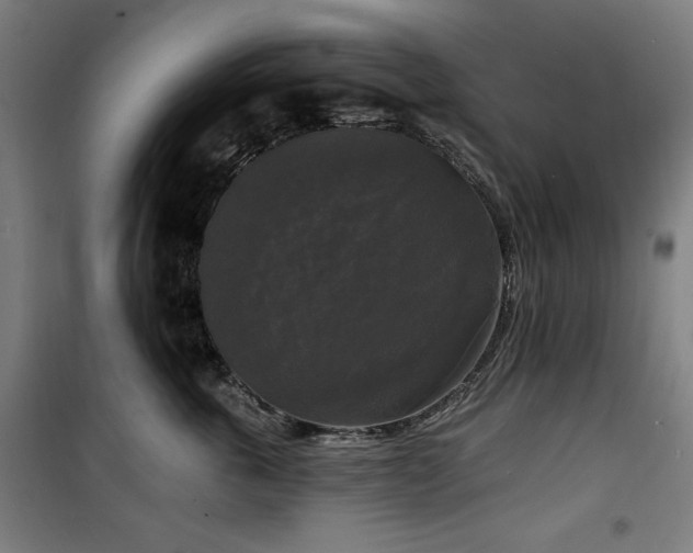 X0000100330763200806051534