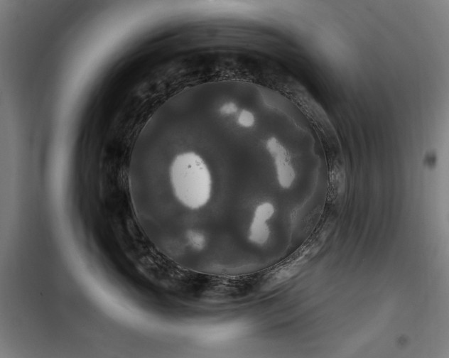 X0000100330765200806051534