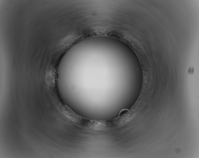 X0000100330768200806051534