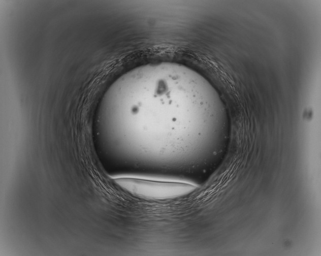 X0000100330769200806051533