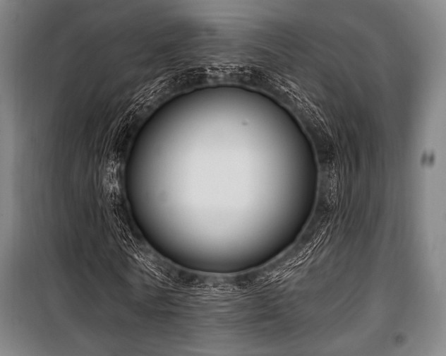 X0000100330770200806051533