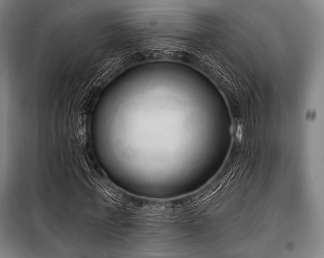 X0000100330771200806051533