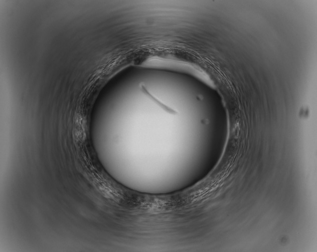 X0000100330772200806051533