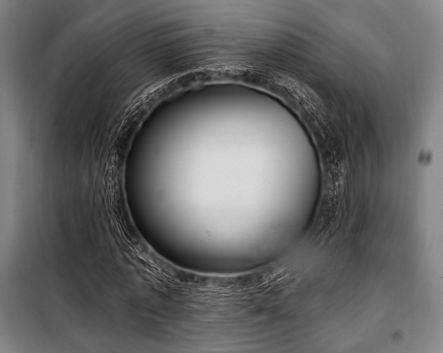 X0000100330773200806051533