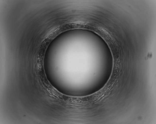 X0000100330774200806051533