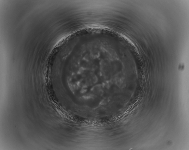 X0000100330775200806051533