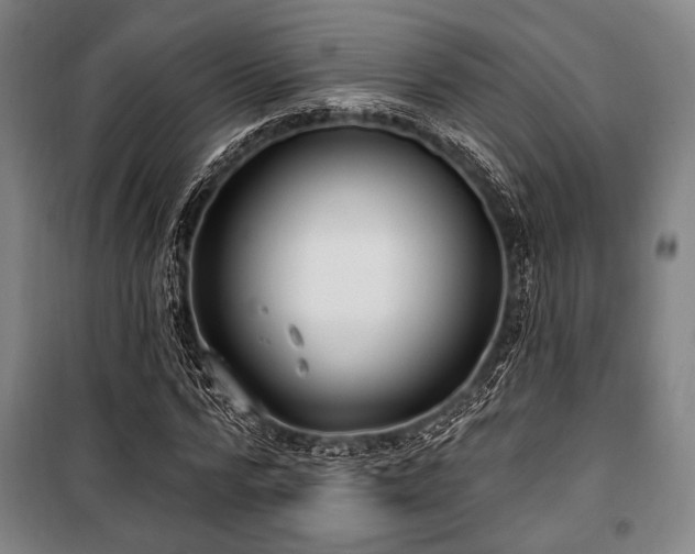 X0000100330776200806051533