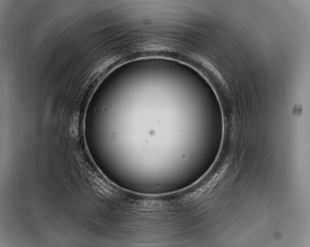 X0000100330777200806051533