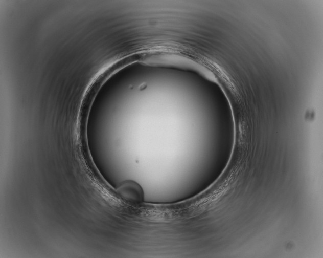 X0000100330780200806051533