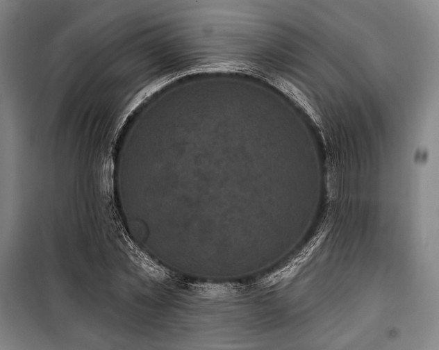 X0000100330781200806051533