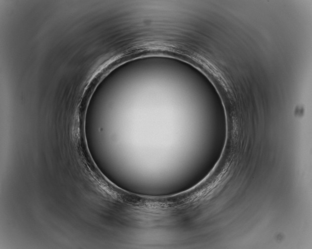 X0000100330782200806051533