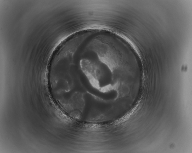 X0000100330783200806051533