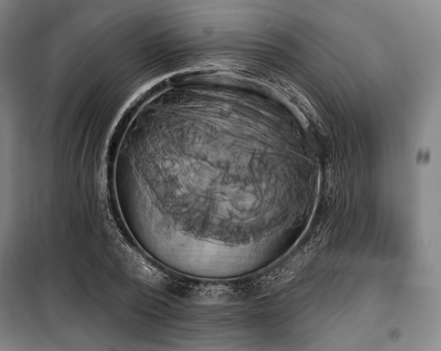 X0000100330784200806051533