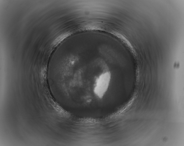 X0000100330785200806051533