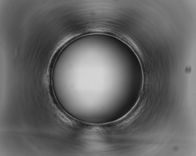 X0000100330787200806051533