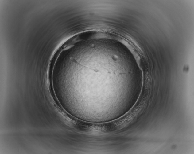 X0000100330788200806051533