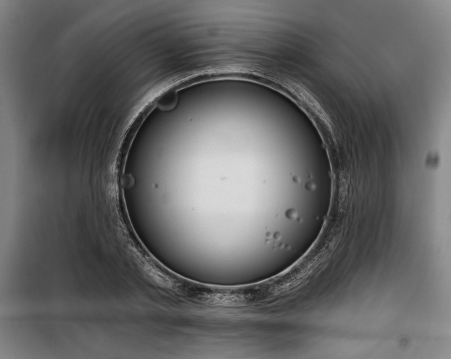 X0000100330789200806051533