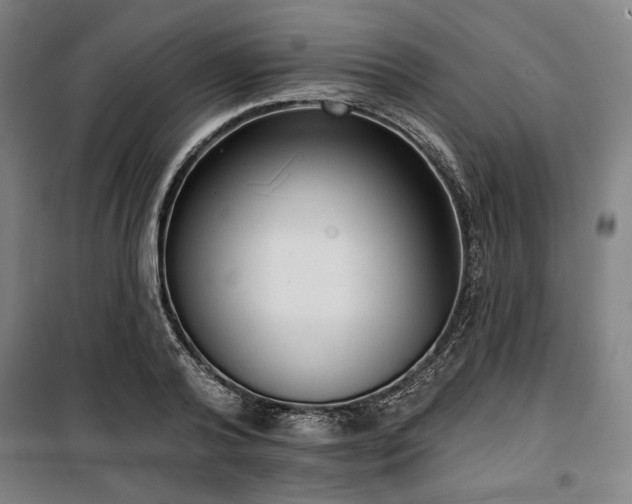 X0000100330792200806051533