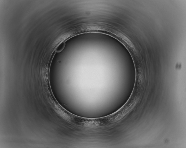 X0000100330793200806051533