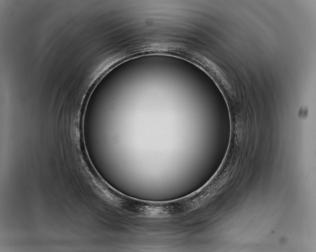 X0000100330794200806051533