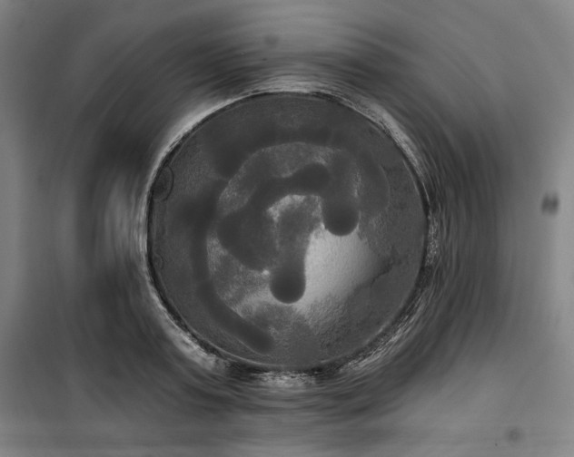 X0000100330795200806051533