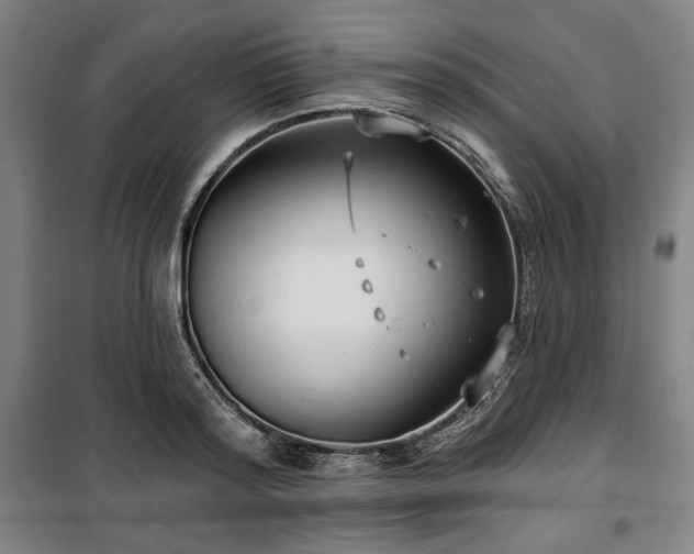 X0000100330796200806051533