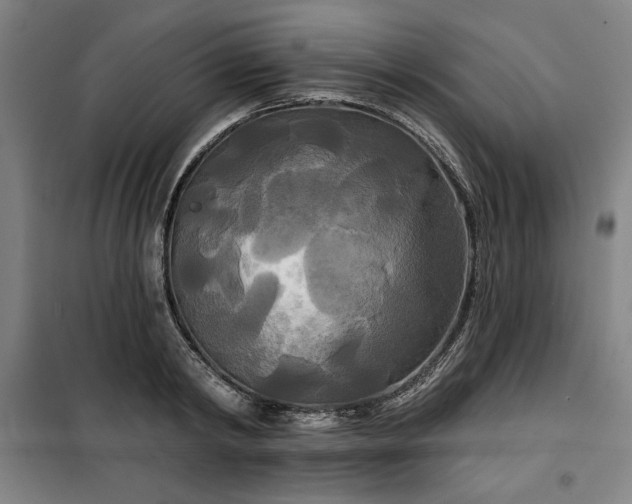 X0000100330798200806051533