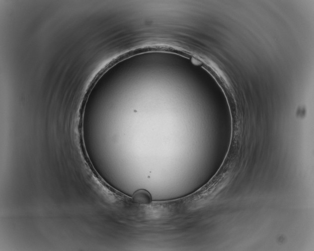 X0000100330799200806051533