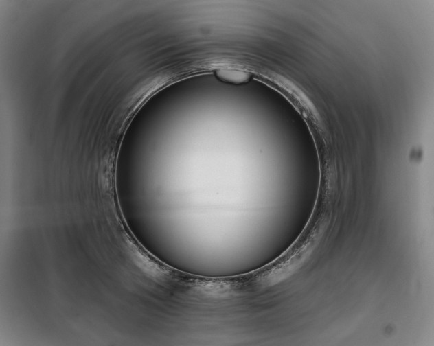 X0000100330801200806051533