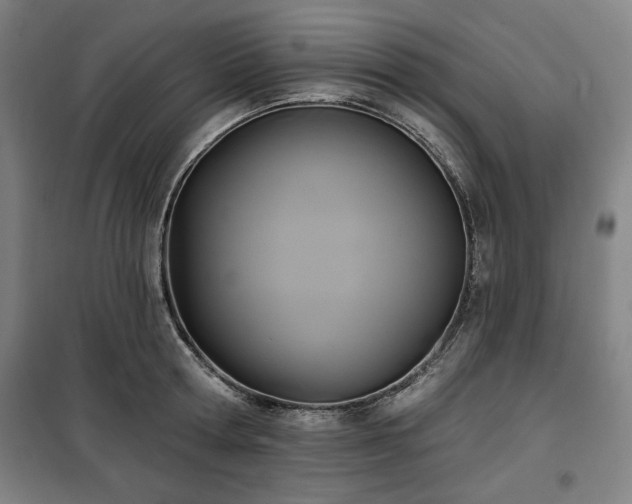 X0000100330802200806051533