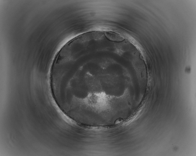 X0000100330803200806051533