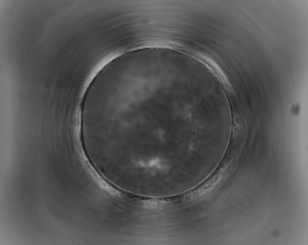 X0000100330804200806051533