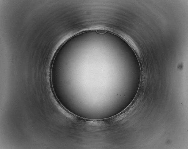 X0000100330805200806051533